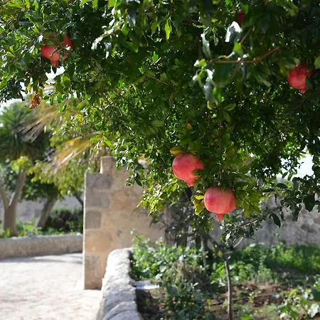 Relais Cimilla Country house