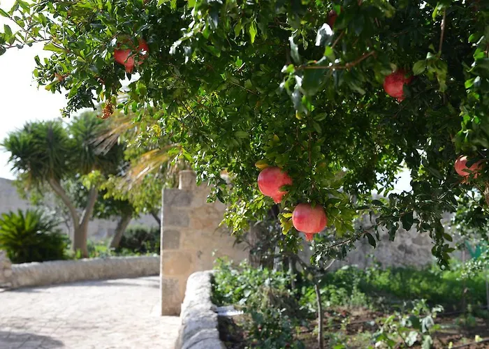 Relais Cimillà Séjour à la campagne